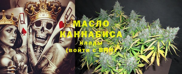 стаф Медногорск