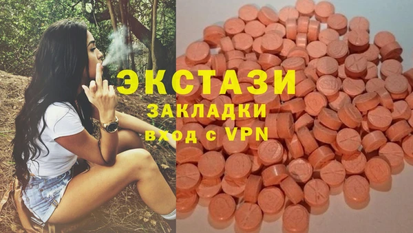 стаф Медногорск