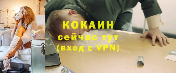 стаф Медногорск