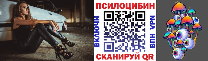 Купить закладки  Тольятти  Псилоцибиновые грибы GOLDEN TEACHER 